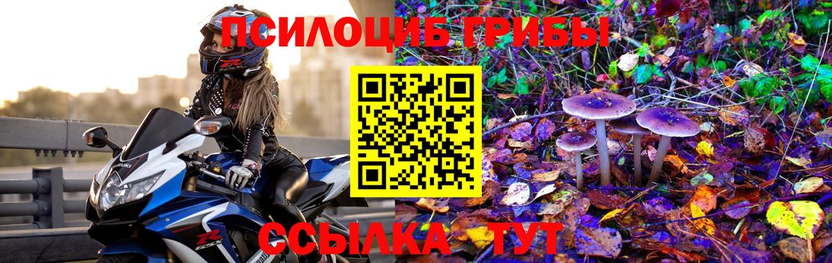 Псилоцибиновые грибы Cubensis  Вход с VPN  Тула 