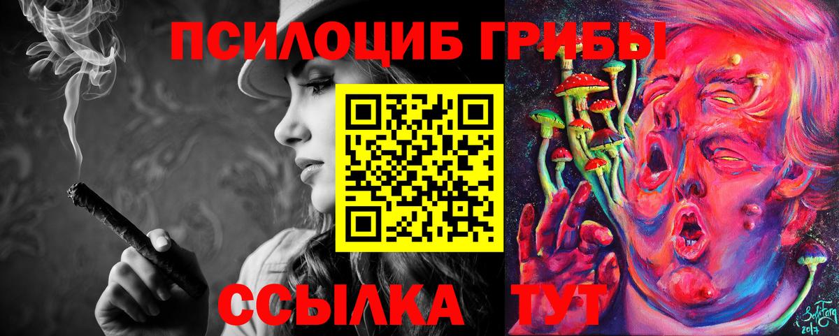 Псилоцибиновые грибы Psilocybine cubensis Тула